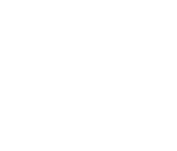 Phoenix Fut